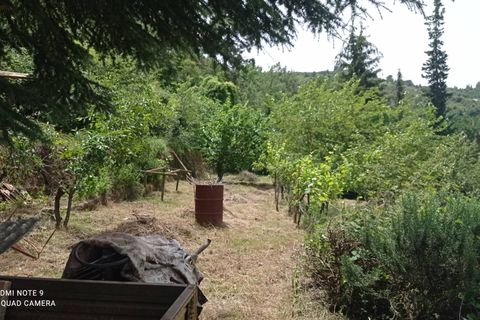 Villa a Perinaldo, Imperia, Perinaldo - € 120.000 | Ref: 1085 - foto 8
