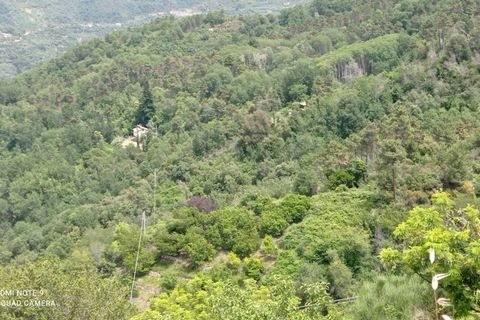 Villa a Perinaldo, Imperia, Perinaldo - € 120.000 | Ref: 1085 - foto 13