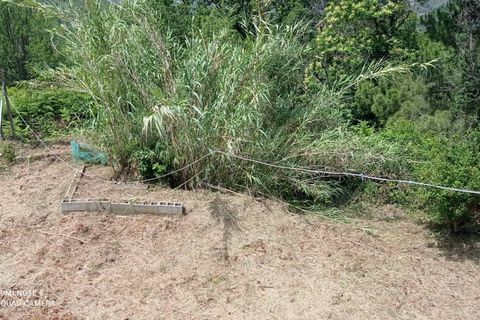 Villa a Perinaldo, Imperia, Perinaldo - € 120.000 | Ref: 1085 - foto 24
