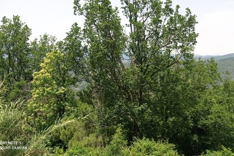 Villa a Perinaldo, Imperia, Perinaldo - € 120.000 | Ref: 1085 - foto 25