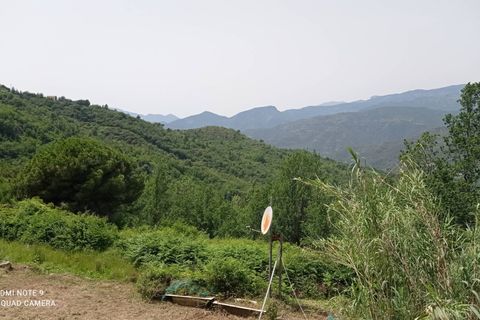 Villa a Perinaldo, Imperia, Perinaldo - € 120.000 | Ref: 1085 - foto 26