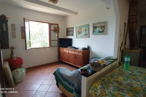 Villa a Perinaldo, Imperia, Perinaldo - € 120.000 | Ref: 1085 - foto 28