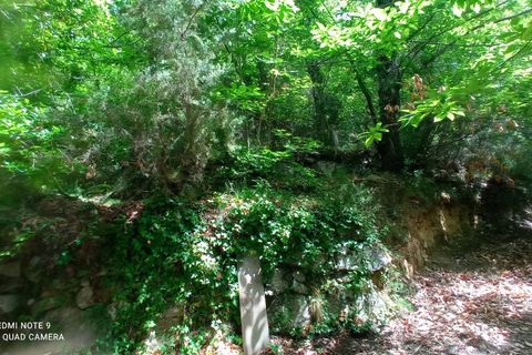 Villa a Perinaldo, Imperia, Perinaldo - € 120.000 | Ref: 1085 - foto 48