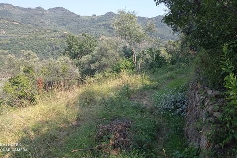 Tomt i Dolceacqua, Imperia, Dolceacqua - € 35 000 | Ref: 1092 - foto 2