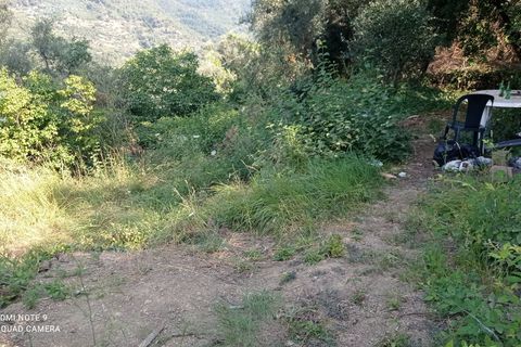 Tomt i Dolceacqua, Imperia, Dolceacqua - € 35 000 | Ref: 1092 - foto 3