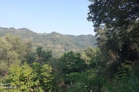 Tomt i Dolceacqua, Imperia, Dolceacqua - € 35 000 | Ref: 1092 - foto 4