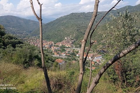 Tomt i Dolceacqua, Imperia, Dolceacqua - € 35 000 | Ref: 1092 - foto 5