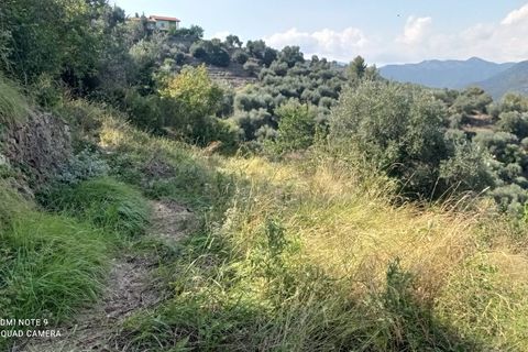 Tomt i Dolceacqua, Imperia, Dolceacqua - € 35 000 | Ref: 1092 - foto 6