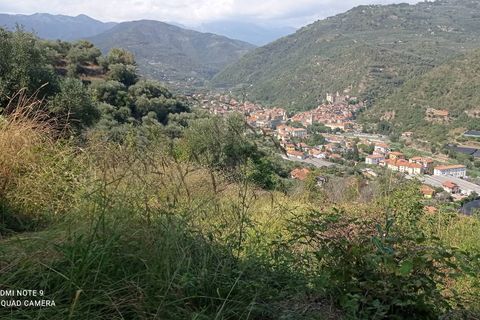 Tomt i Dolceacqua, Imperia, Dolceacqua - € 35 000 | Ref: 1092 - foto 7