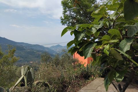 Leilighet i Perinaldo, Imperia, Perinaldo - € 350 000 | Ref: 1103 - foto 11