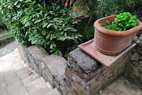 Leilighet i Perinaldo, Imperia, Perinaldo - € 350 000 | Ref: 1103 - foto 16