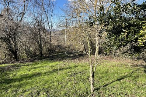 Villa i Pezzolo Valle Uzzone, Cuneo, Pezzolo Valle Uzzone - € 130.000 | Ref: 26 - foto 10