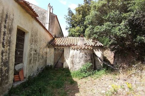 Landejendom i Viddalba, Sassari, Viddalba - € 1.300.000 | Ref: AGS-STAZZO-TIR - foto 13