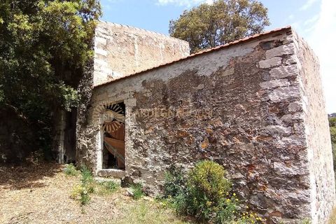Landejendom i Viddalba, Sassari, Viddalba - € 1.300.000 | Ref: AGS-STAZZO-TIR - foto 16