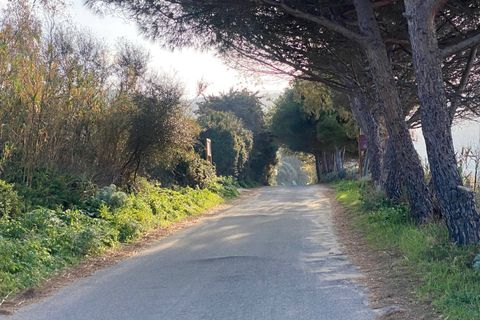 Helårsgrund i Badesi, Sassari, Badesi - € 350.000 | Ref: BAD-MAR-BL - foto 11