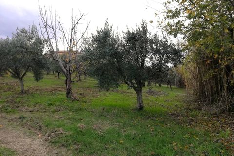 Tomt i Cupello, Chieti, Cupello - € 38 000 | Ref: TE56 - foto 2