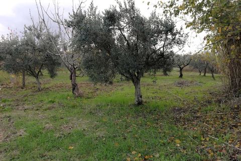 Tomt i Cupello, Chieti, Cupello - € 38 000 | Ref: TE56 - foto 3