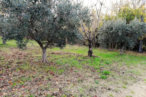 Tomt i Cupello, Chieti, Cupello - € 38 000 | Ref: TE56 - foto 4
