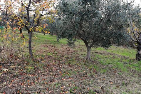 Tomt i Cupello, Chieti, Cupello - € 38 000 | Ref: TE56 - foto 5