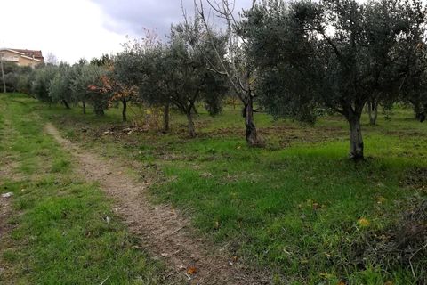 Tomt i Cupello, Chieti, Cupello - € 38 000 | Ref: TE56 - foto 6