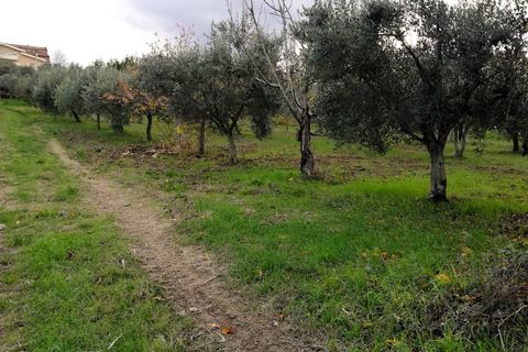 Tomt i Cupello, Chieti, Cupello - € 38 000 | Ref: TE56 - foto 7