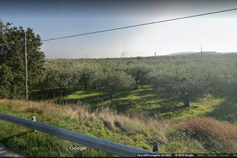 Helårsgrund i Vasto, Chieti, Vasto - € 65.000 | Ref: TA53 - foto 3