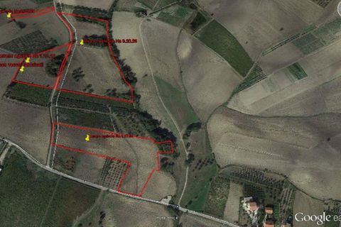 Terra a Cupello, Chieti, Cupello - € 90.000 | Ref: TA63B - foto 2