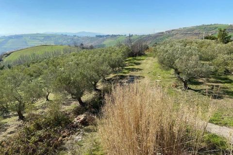 Villa i Cupello, Chieti, Cupello - € 260.000 | Ref: 160PL - foto 15