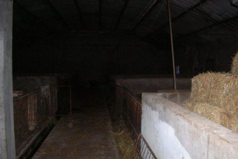 Erhvervsejendom i Carpineto Sinello, Chieti, Carpineto Sinello - € 35.000 | Ref: 106PD - foto 3