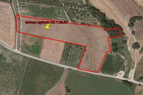 Tomt i Cupello, Chieti, Cupello - € 60 000 | Ref: TA63D - foto 2