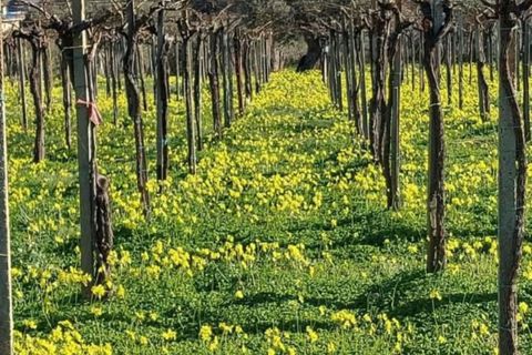 Helårsgrund i Vasto, Chieti, Vasto - € 156.000 | Ref: TE01 - foto 4