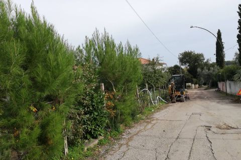 Helårsgrund i Vasto, Chieti, Vasto - € 156.000 | Ref: TE01 - foto 10