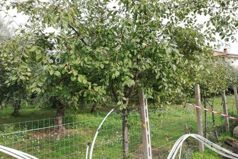 Helårsgrund i Vasto, Chieti, Vasto - € 156.000 | Ref: TE01 - foto 13