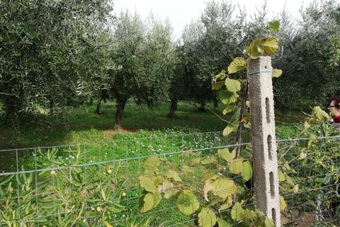 Helårsgrund i Vasto, Chieti, Vasto - € 156.000 | Ref: TE01 - foto 16