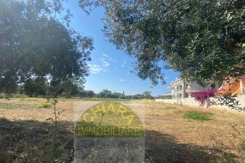 Helårsgrund i Vasto, Chieti, Vasto - € 156.000 | Ref: TE01 - foto 19