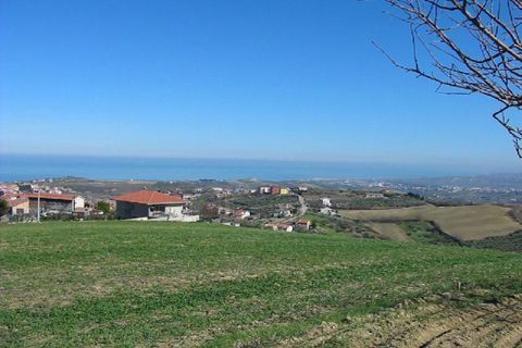 Terra a Cupello, Chieti, Cupello - € 75.000 | Ref: TA55 - foto 2