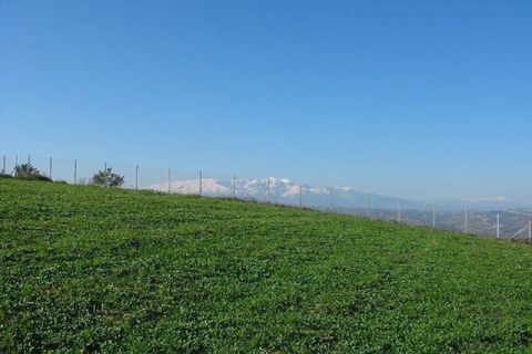 Terra a Cupello, Chieti, Cupello - € 75.000 | Ref: TA55 - foto 3