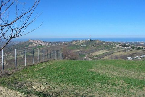 Terra a Cupello, Chieti, Cupello - € 75.000 | Ref: TA55 - foto 6