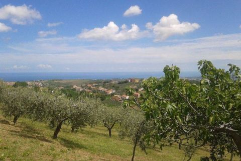 Terra a Cupello, Chieti, Cupello - € 75.000 | Ref: TA55 - foto 7