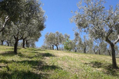 Terra a Cupello, Chieti, Cupello - € 75.000 | Ref: TA55 - foto 13