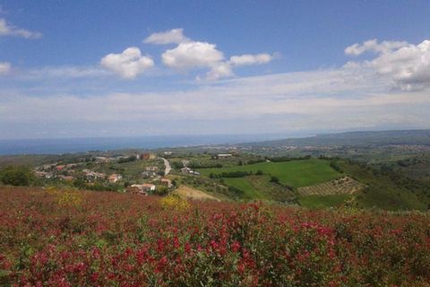 Terra a Cupello, Chieti, Cupello - € 75.000 | Ref: TA55 - foto 15