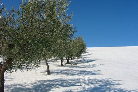 Terra a Cupello, Chieti, Cupello - € 75.000 | Ref: TA55 - foto 16