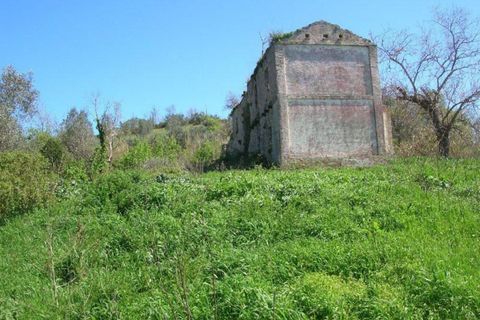 Landejendom i Monteodorisio, Chieti, Monteodorisio - € 40.000 | Ref: MRL - foto 4