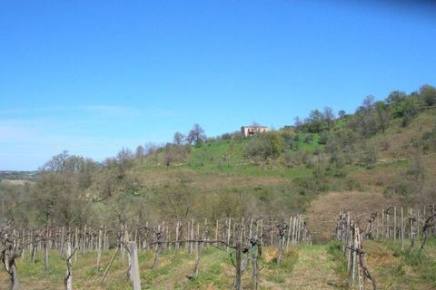 Landejendom i Monteodorisio, Chieti, Monteodorisio - € 40.000 | Ref: MRL - foto 5