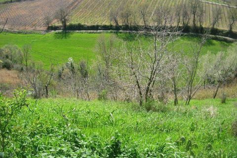 Landejendom i Monteodorisio, Chieti, Monteodorisio - € 40.000 | Ref: MRL - foto 7