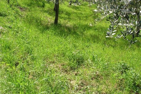 Landejendom i Monteodorisio, Chieti, Monteodorisio - € 40.000 | Ref: MRL - foto 9