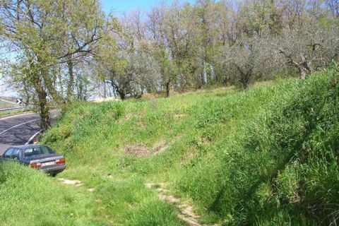 Landejendom i Monteodorisio, Chieti, Monteodorisio - € 40.000 | Ref: MRL - foto 11