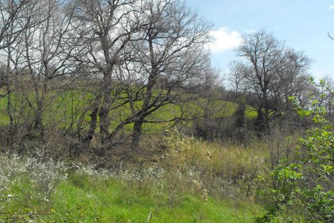Landejendom i Monteodorisio, Chieti, Monteodorisio - € 40.000 | Ref: MRL - foto 19