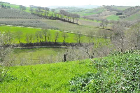 Landejendom i Monteodorisio, Chieti, Monteodorisio - € 40.000 | Ref: MRL - foto 20