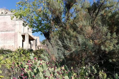 Landejendom i Monteodorisio, Chieti, Monteodorisio - € 40.000 | Ref: MRL - foto 22